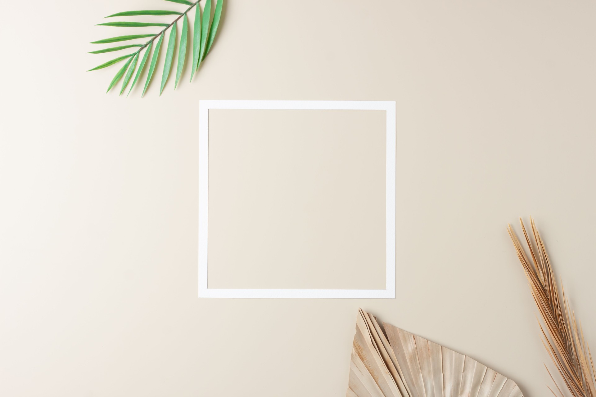 Minimal composition with white frame and palm leaf on pastel beige background. Flat lay, copy space