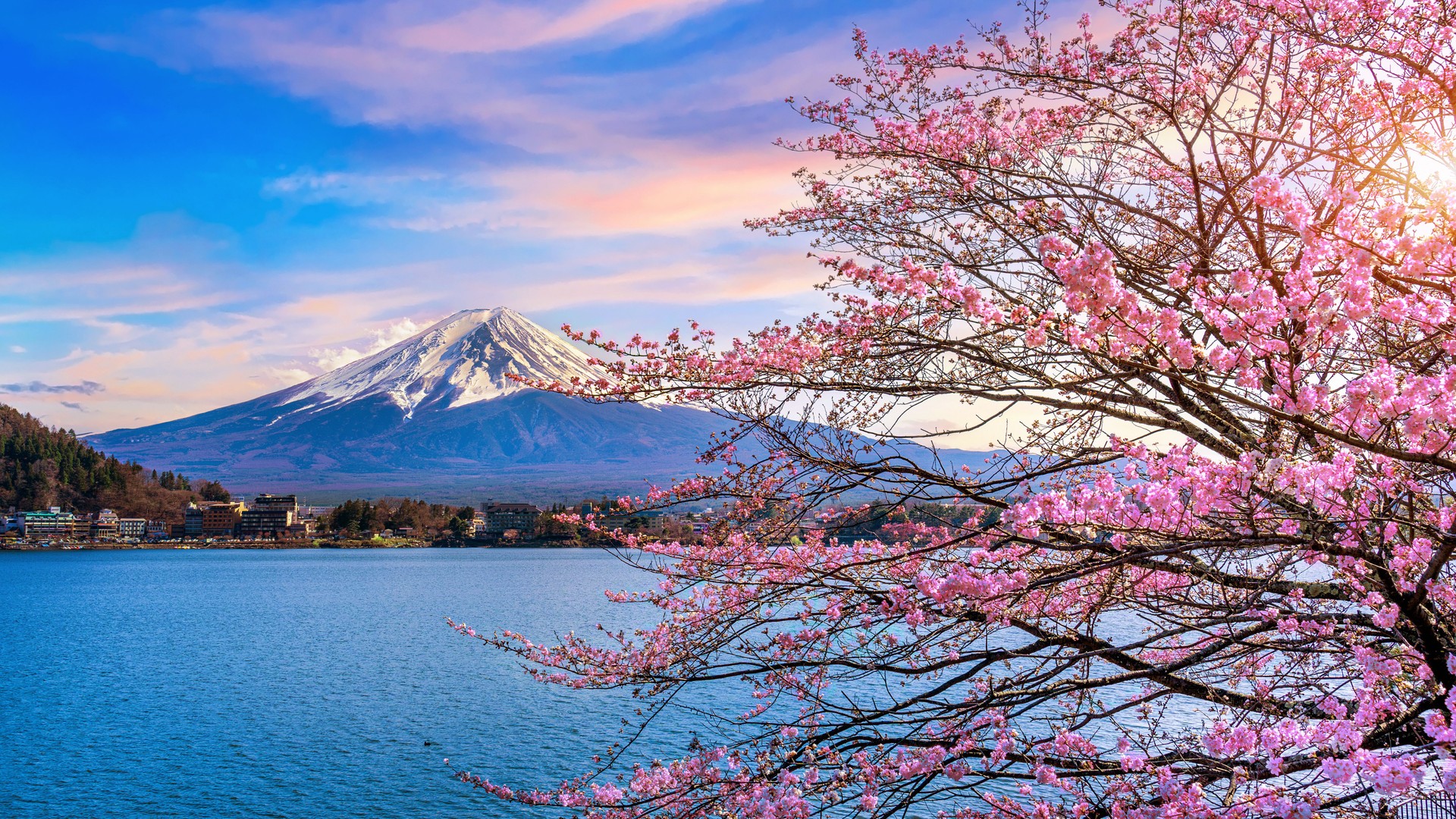 Fuji mountain and cherry blossoms in spring, Japan.