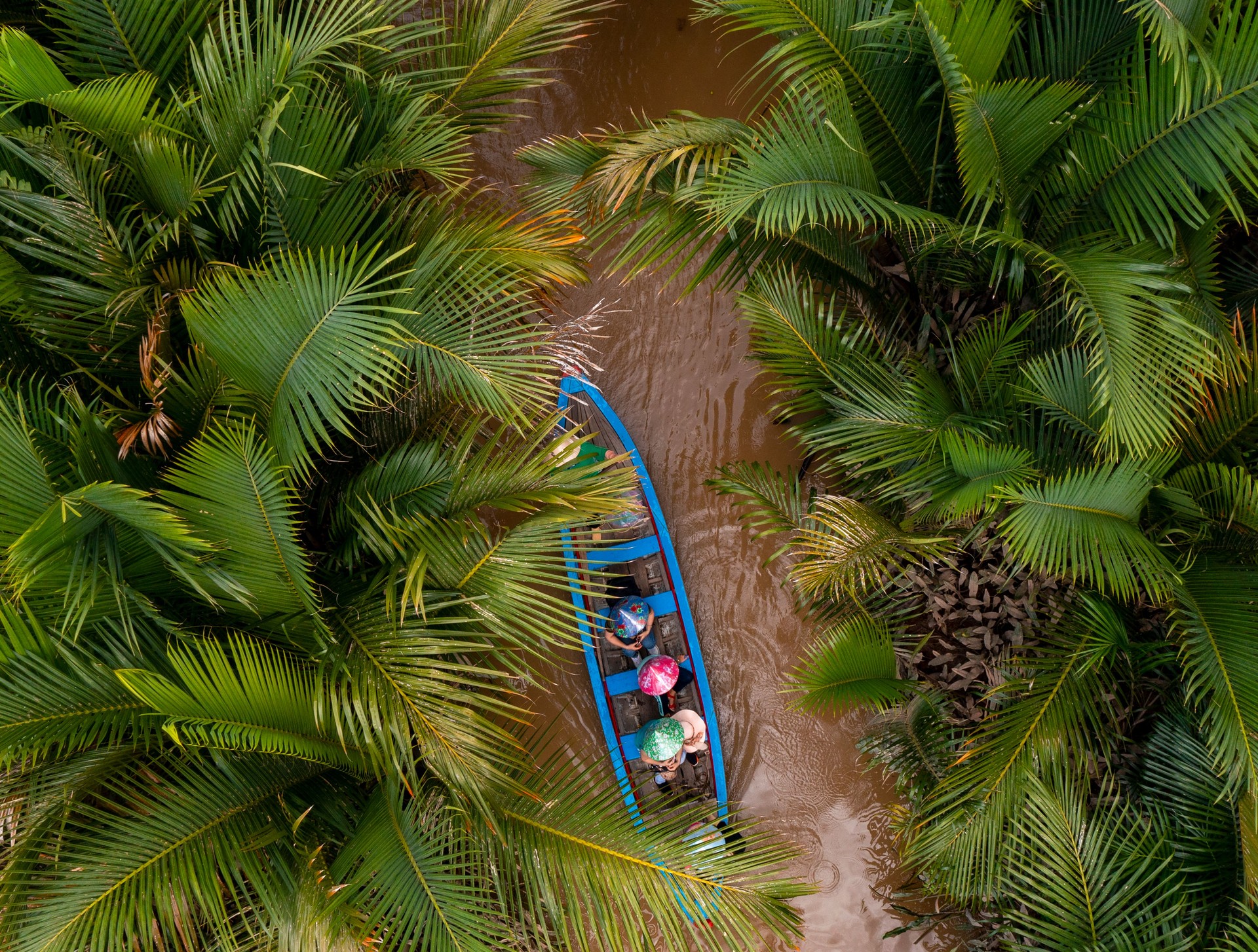 Boat gliding through lush palms in the Mekong Delta – slow life in rural Vietnam
