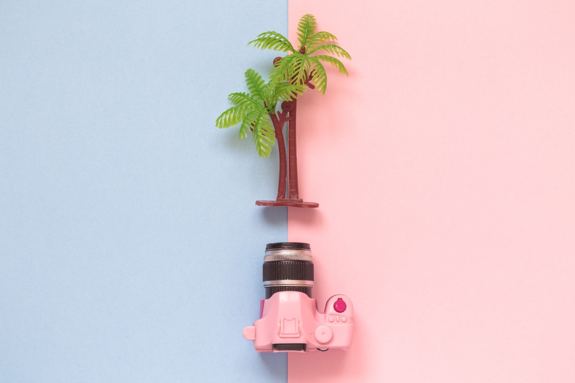 Small camera and palm tree on pastel background summertime minimalistic concept.