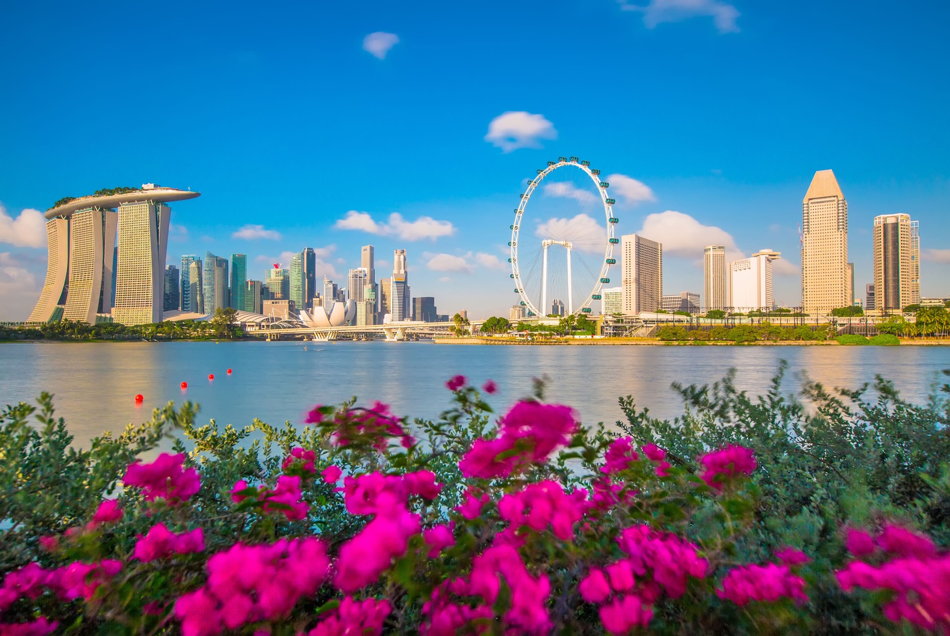 Singapore skyline with bougainvillea blooms – where modernity meets calm